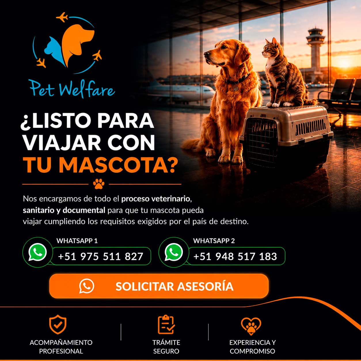 Listo para viajar con tu mascota